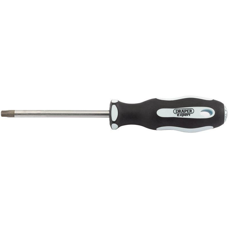 Schroevendraaier resi torx T40Tx100mm