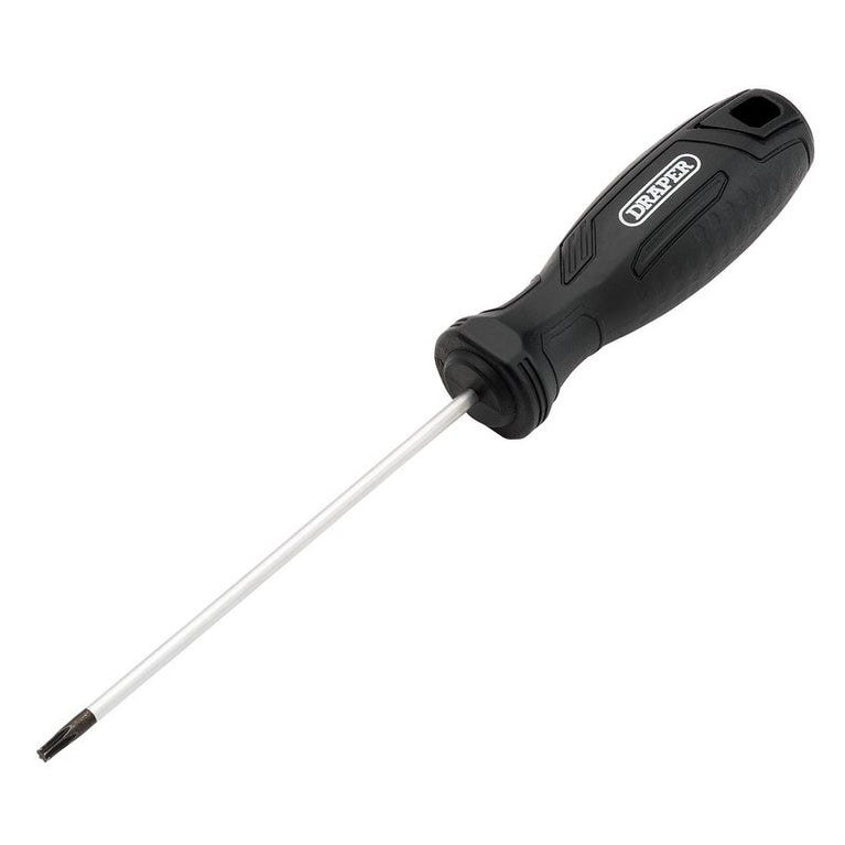 Torx schroevendraaier T10