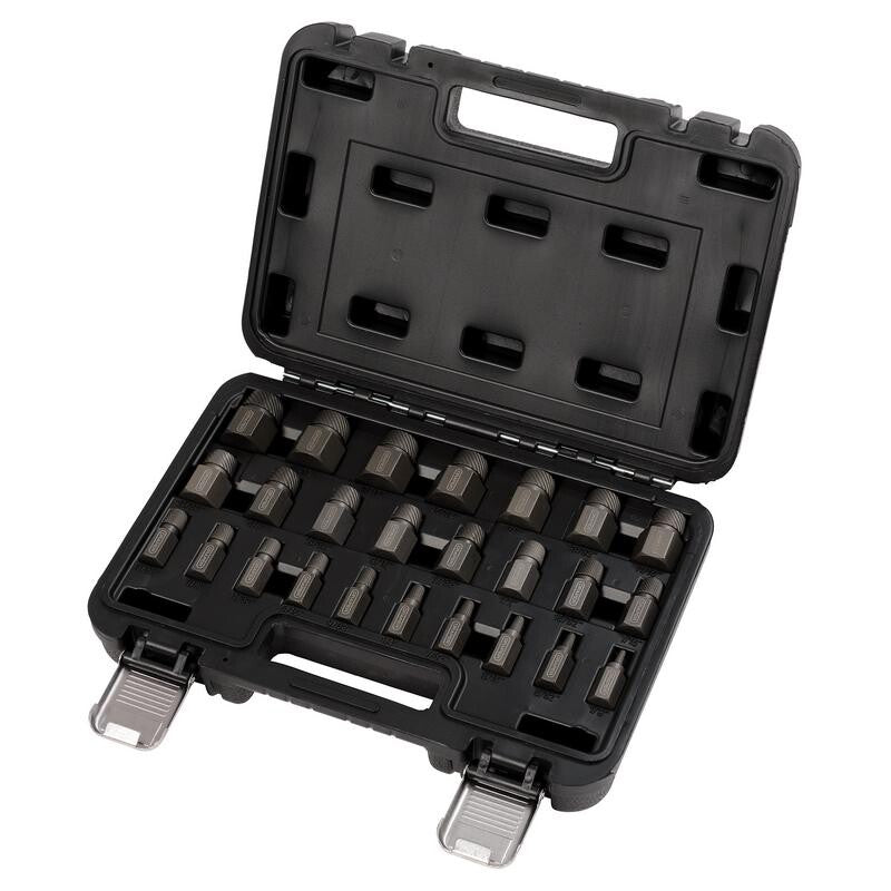 3/8" Bout- en moerverwijderingsset, 25dlg