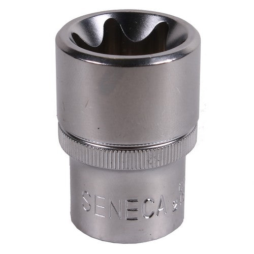 Torx dop 1/2" e12-0