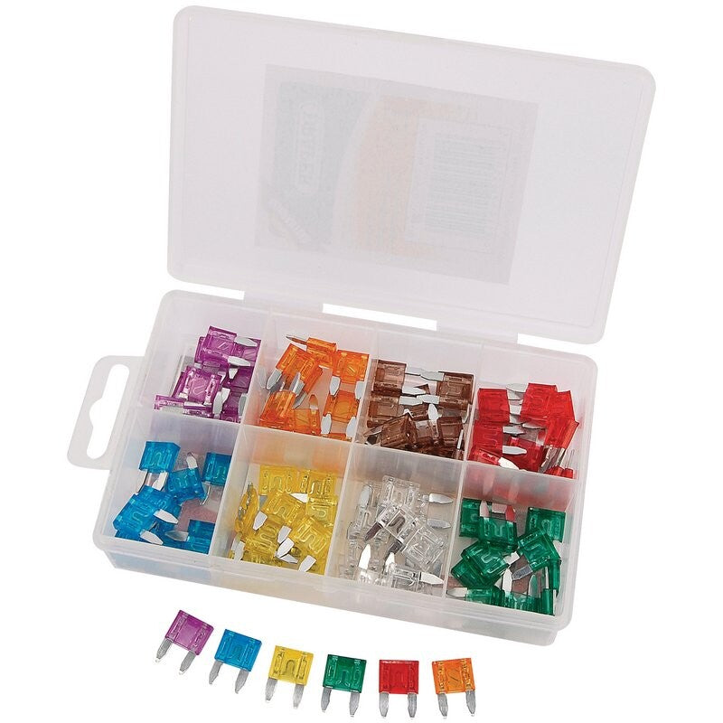 Mini steekzekering assortiment, 100st