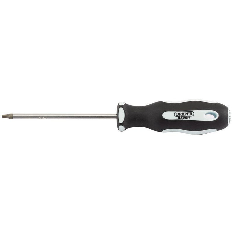 Schroevendraaier resi torx T15Tx100mm