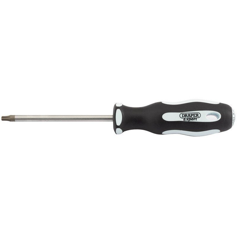 Schroevendraaier resi torx T25Tx100mm