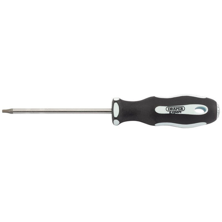Schroevendraaier T15x100mm
