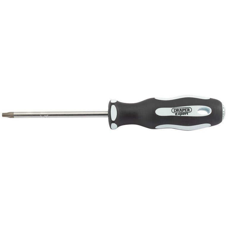 Schroevendraaier T25x100mm