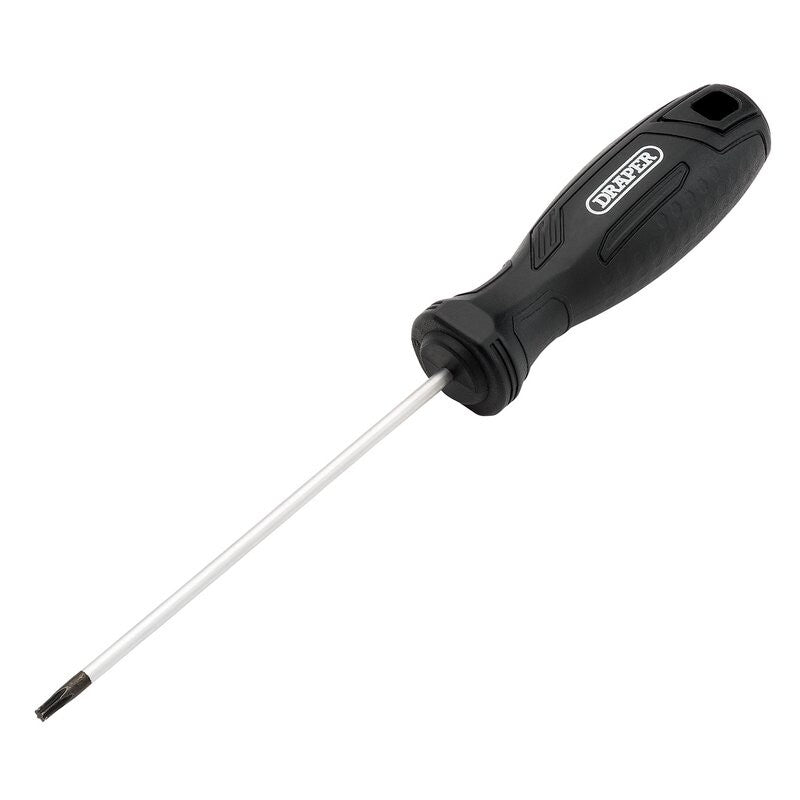 Torx schroevendraaier T10